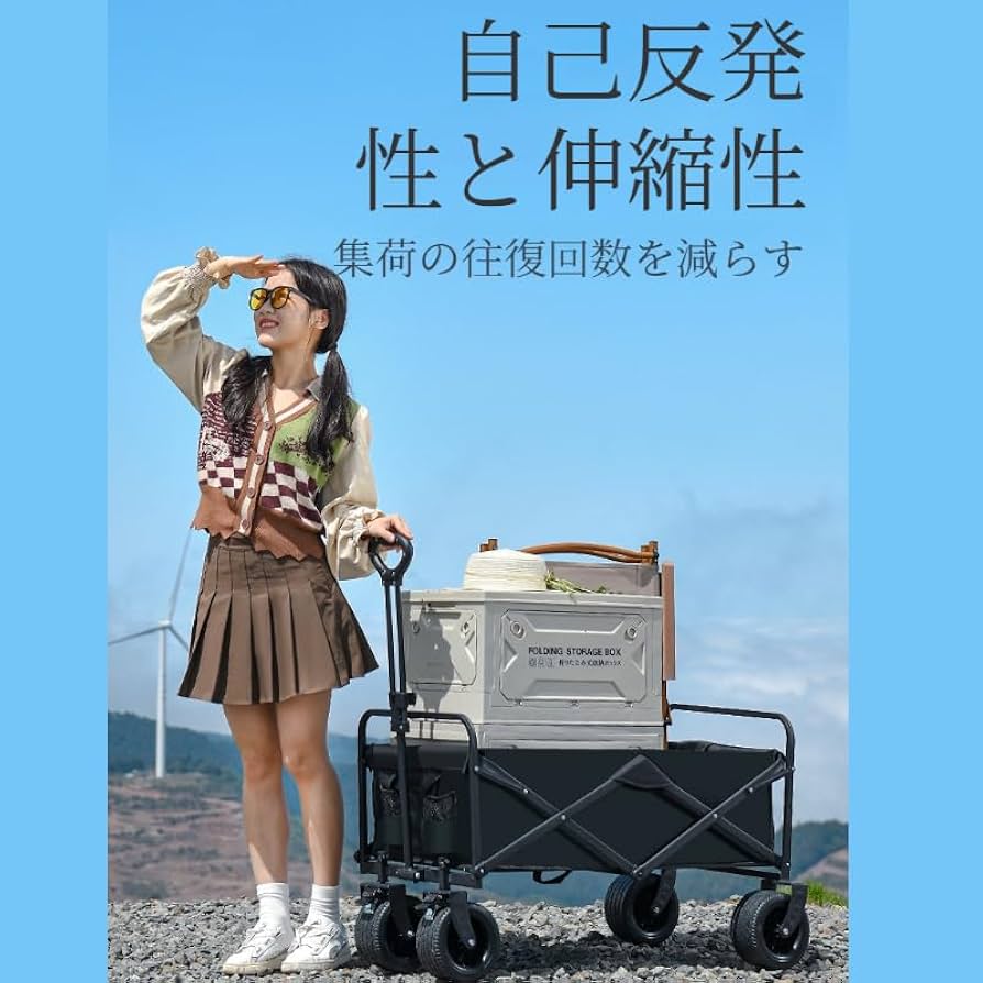 Amazon.co.jp: キャリーワゴン 屋根付き 折りたたみ式 【大容量